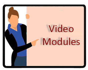 Video Module